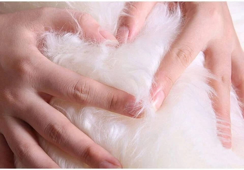 Teppich, EUGAD, 2er-Set Öko Lammfell echtes Longhair Fell XL (100-104)x65cm Weiß 3 Teppich, EUGAD, 2er-Set Öko Lammfell echtes Longhair Fell XL (100-104)x65cm Weiß – Bild 3